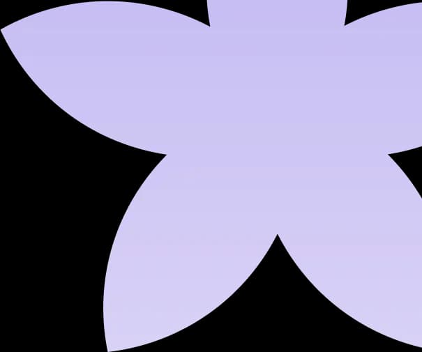 Purple Flower